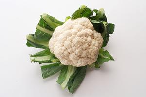 池袋西口の絶品海鮮居酒屋：磯丸水産の魅力と特徴徹底ガイド