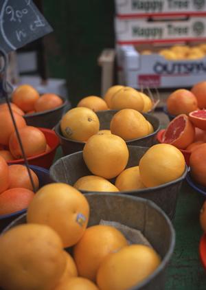 盛岡冷麺の名店「ぴょんぴょん舎」の魅力と店舗紹介