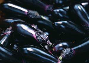 名古屋名物ひつまぶしを堪能できる「うなぎのしら河」店舗ガイド