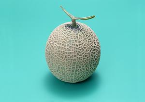 熱海で楽しむ絶品フレンチ体験ガイド2025年版