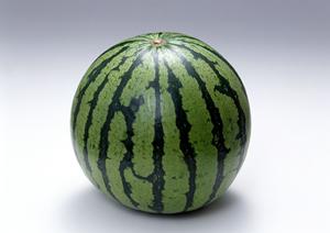 岡山木村屋グループの信頼と品質を誇るOKF株式会社：人と街を食でつなぐパンの総合メーカー