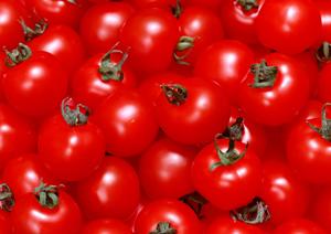 2025年最新！高級紅茶を贈るならこれがおすすめ：ギフトに最適な選び方と人気ブランドガイド